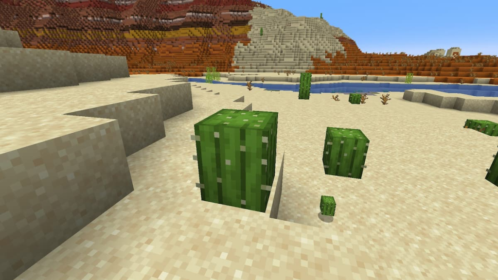 Leaving the bottom of the cactus to regrow in Minecraft.