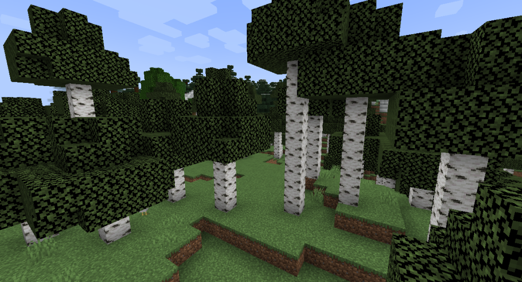 Birch trees growing in an Old Birch Forest biome.