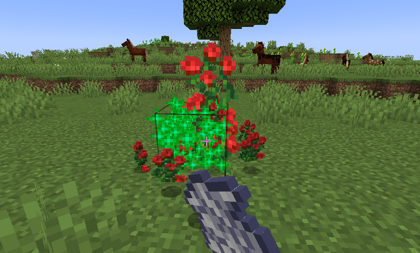 Using bone meal on a rose bush, causing the rose bush to duplicate.