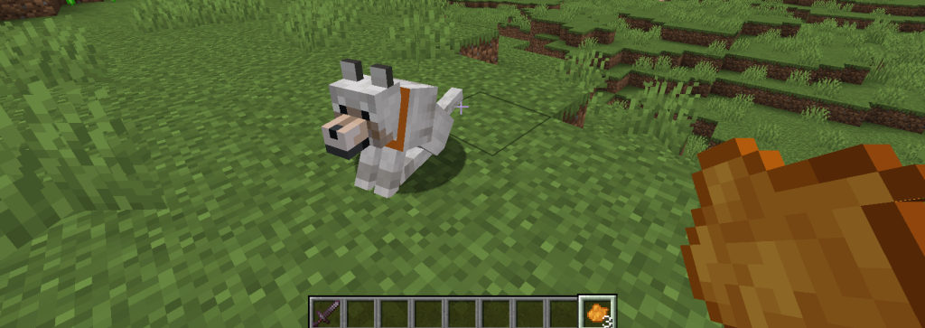 Right-clicking on a tamed wolf while holding a piece of dye will change the color of their collar.