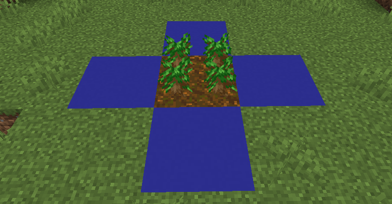 Four saplings are placed in the 4x4 grid of podzol. Blue concrete extends out for two blocks on either side to illustrate how far structures must be for a dark oak tree to grow.