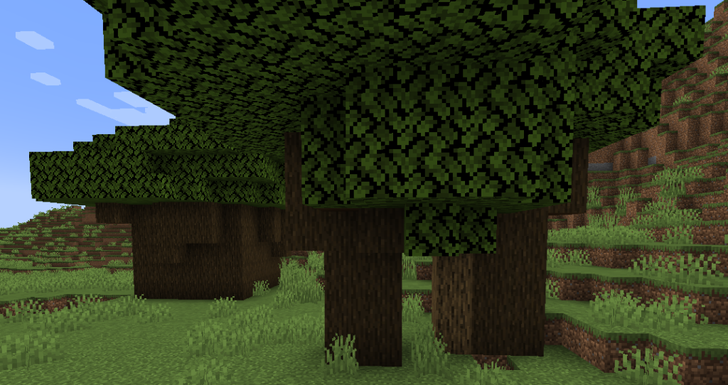 On the right, a dark oak tree grows pressed directly against a regular oak tree. In the back left, multiple dark oak trees are grown directly next to each other to form one "giant" dark oak tree.
