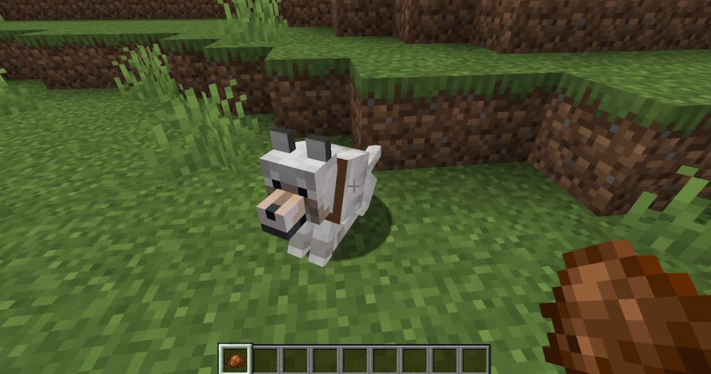 Making a dog's collar brown in Minecraft.