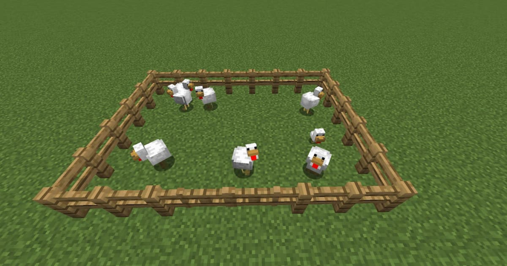 The best coop has multiple chickens for laying eggs.