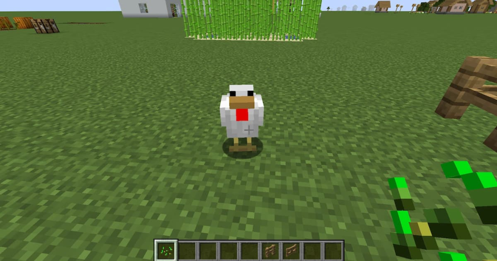 Chicken following a player holding a seed.