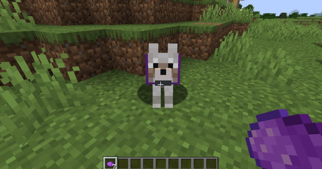 Purple dye can be used to turn a dog's collar purple.