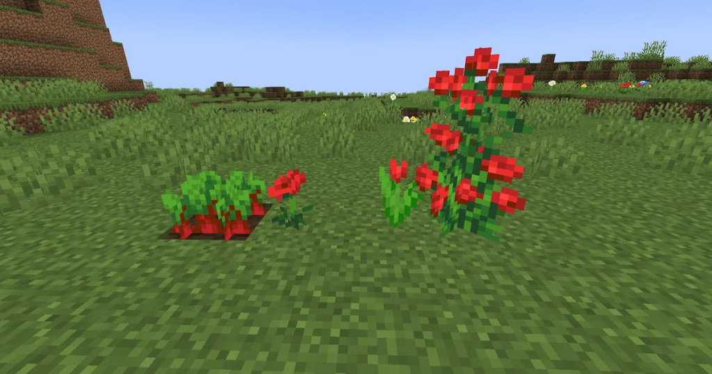 All of the plants that can be used to craft red dye: from left to right, beetroot, poppy, red tulip, rose bush.