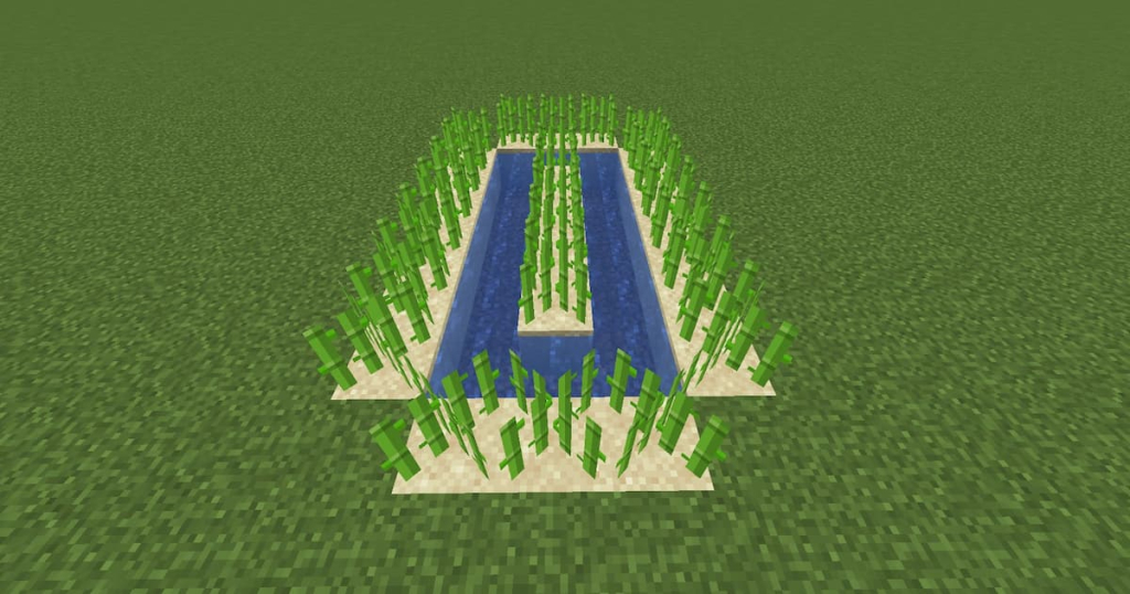 A basic sugar cane farm.