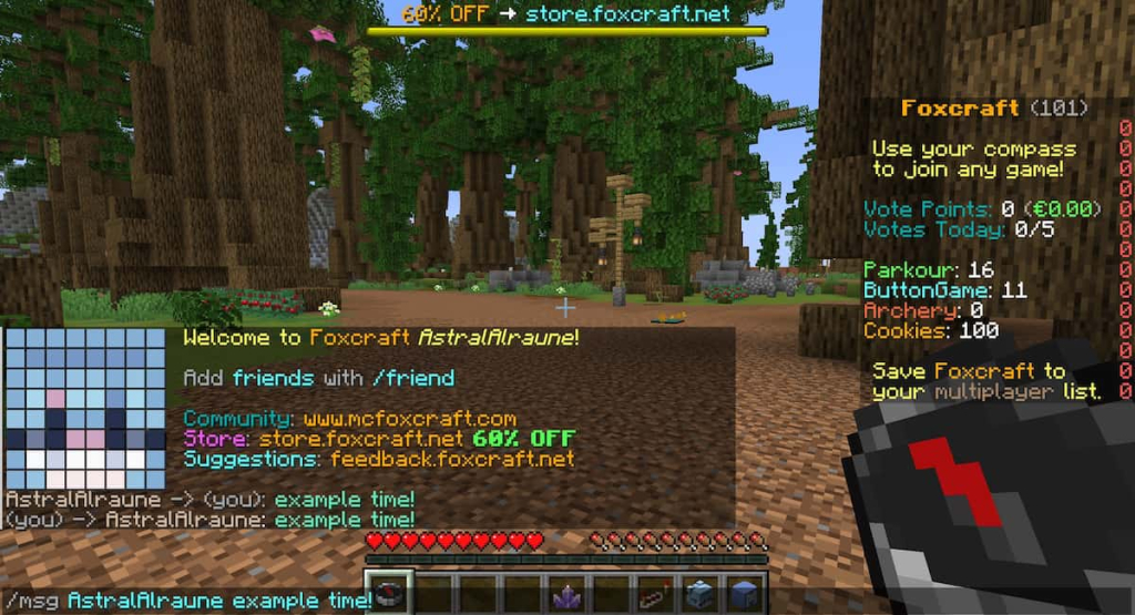 An example of using the "/msg" command to whisper in Minecraft multiplayer.