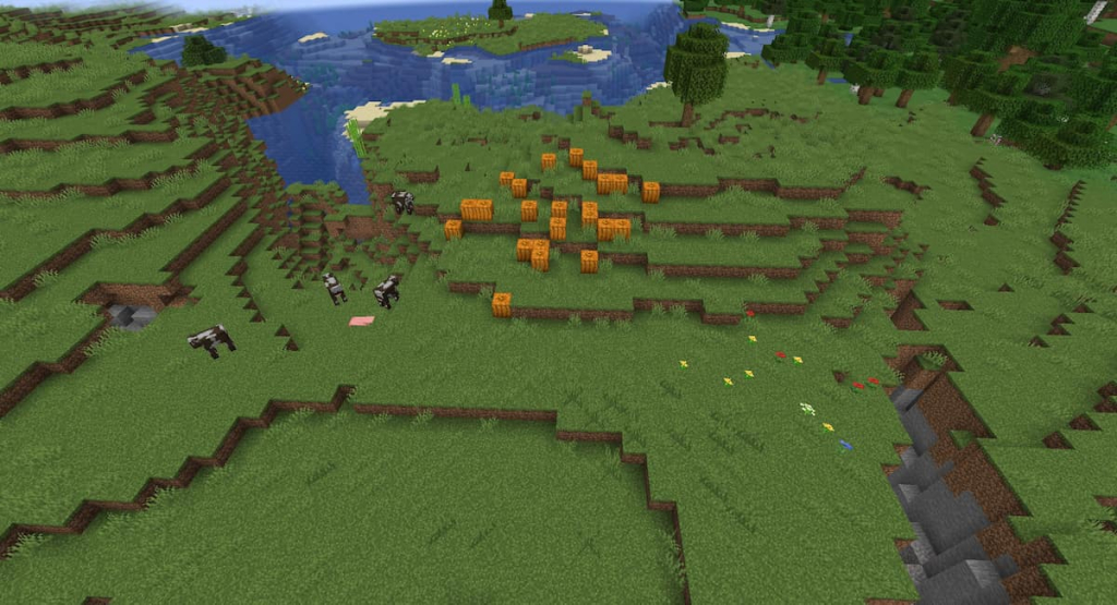 Pumpkins can be found growing naturally in a Plains biome.