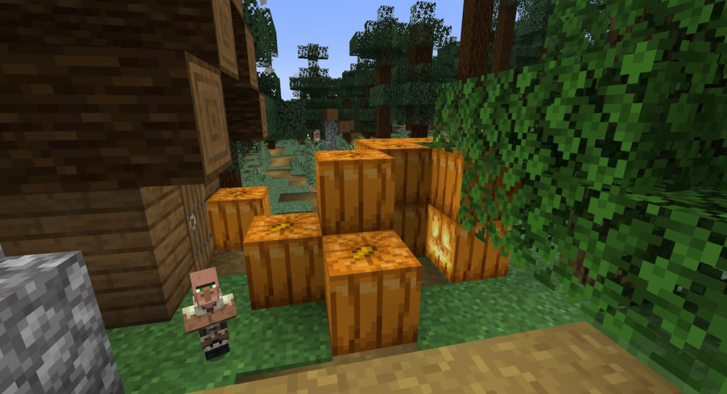 A jack-o-lantern that has spawned naturally within a Taiga Village.