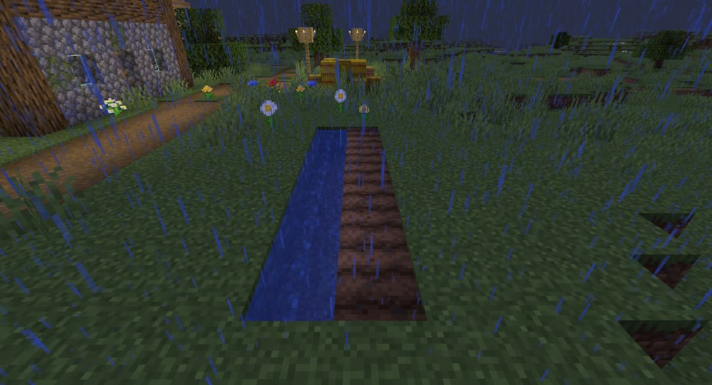 A basic pumpkin farm setup, with a row of water and a row of dirt that has been hoed.