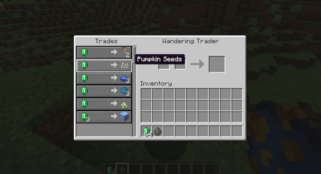 A Wandering Trader selling pumpkins for one emerald apiece.