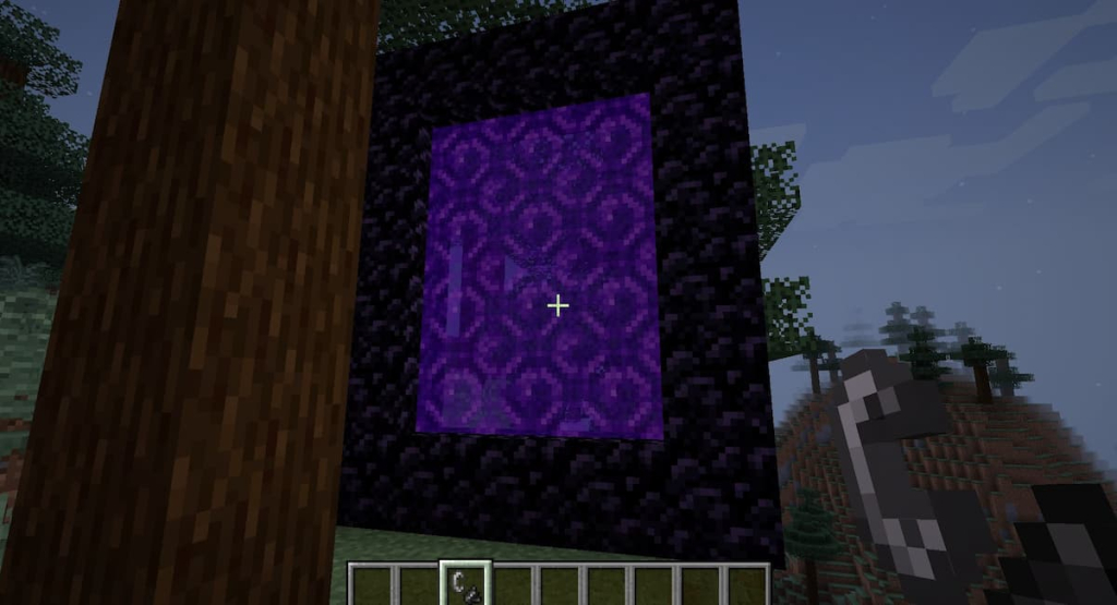 Using Flint and Steel to light a Nether Portal.