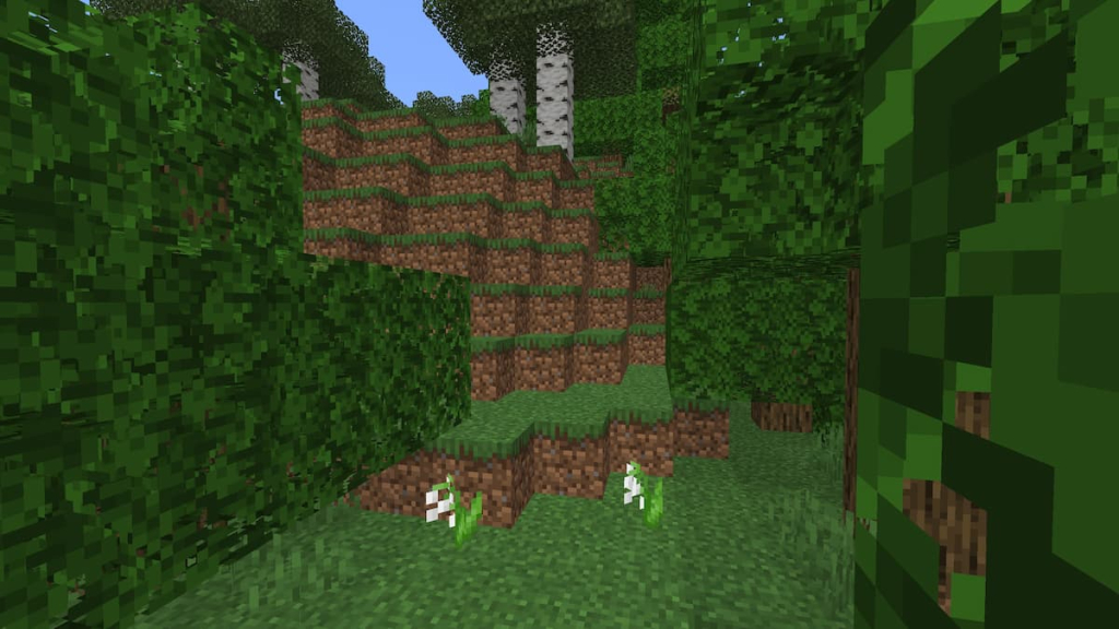 A Lily of the Valley growing in a Birch Forest in Minecraft.