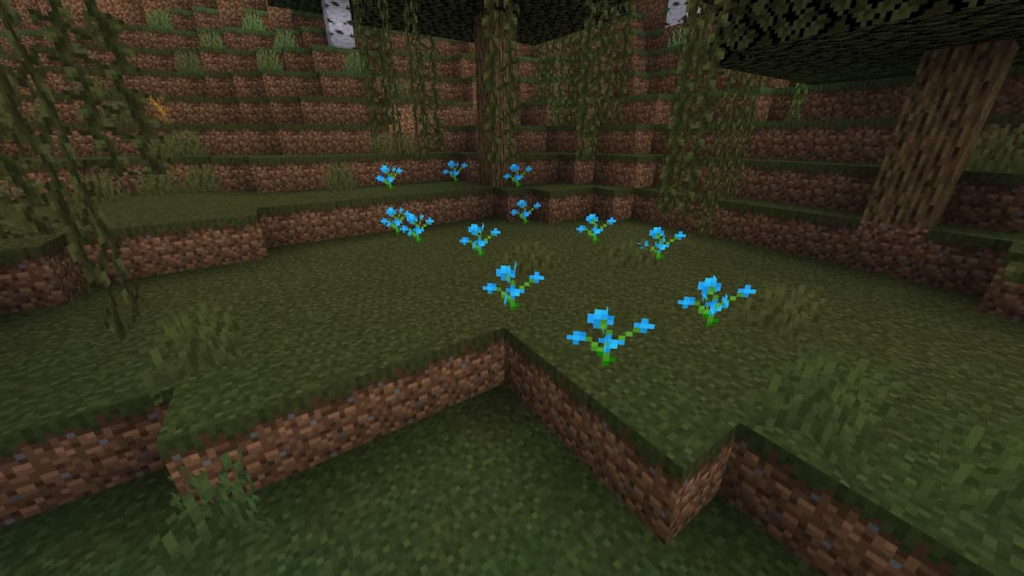 Blue orchids spawning naturally in a Swamp.