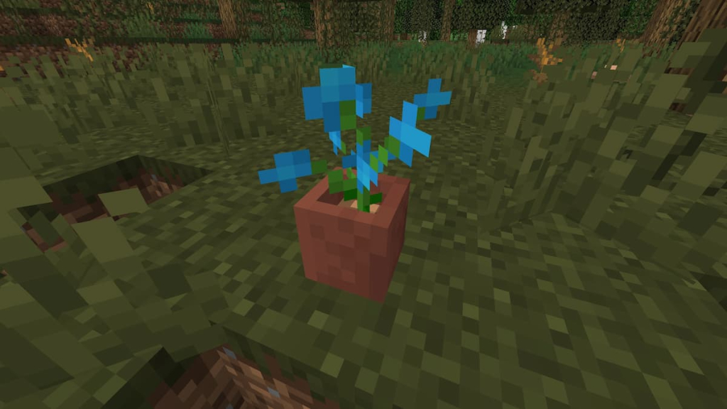 A Blue Orchid placed into a flower pot.